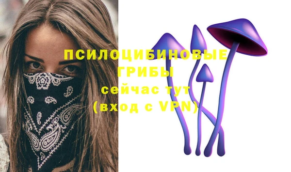 скорость Елабуга
