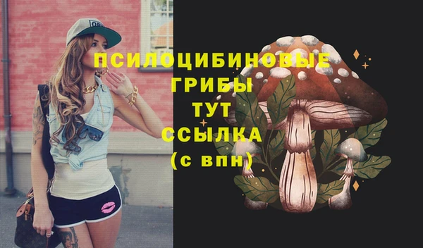 альфа пвп Елизово
