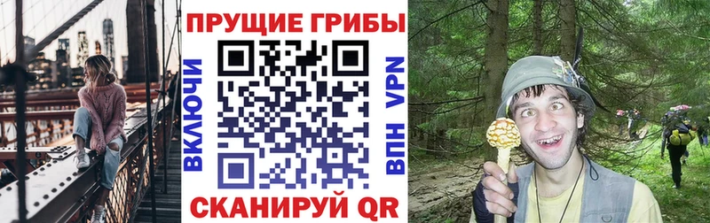 Галлюциногенные грибы мухоморы  Югорск 